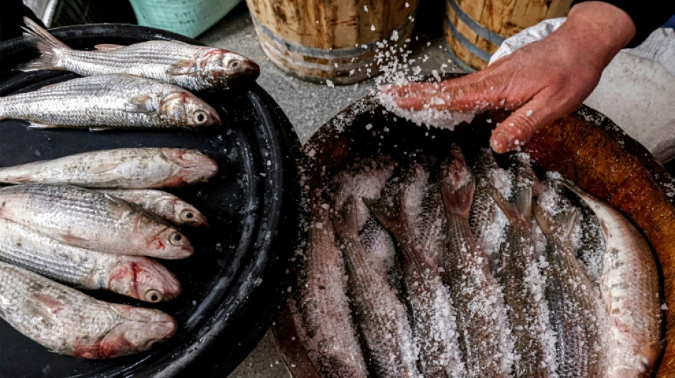 En Egypte, depuis des mill&eacute;naires, un plat de poisson sal&eacute; ravit les papilles et prend au nez