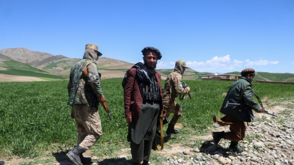 En Afghanistan, une &eacute;radication violente du pavot
