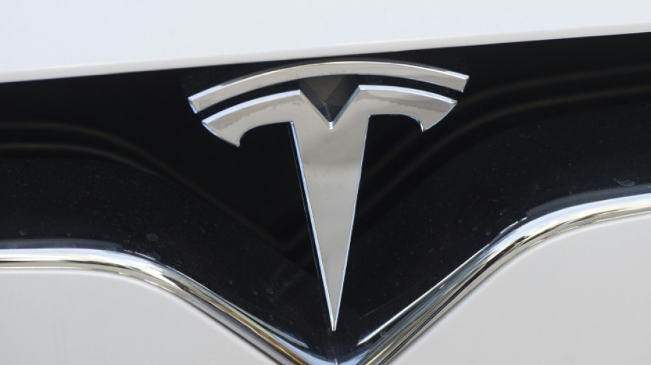 Besch&auml;ftigte von neuem Tesla-Werk in Brandenburg w&auml;hlen Betriebsrat
