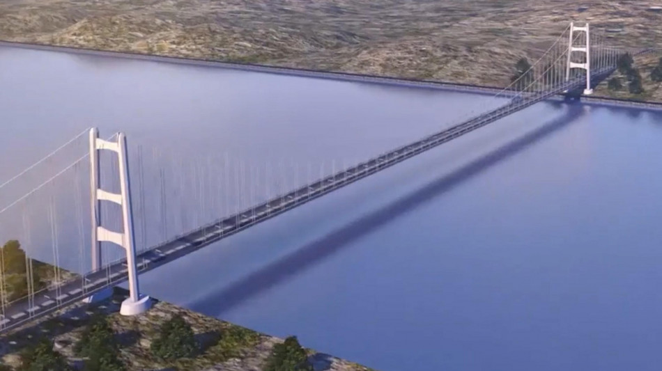 Ponte: C.Conti, viola habitat naturale,nodo piano tariffario