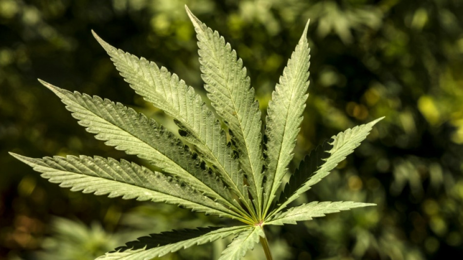 Kinder&auml;rzte verlangen besseren Jugendschutz bei geplanter Cannabis-Legalisierung