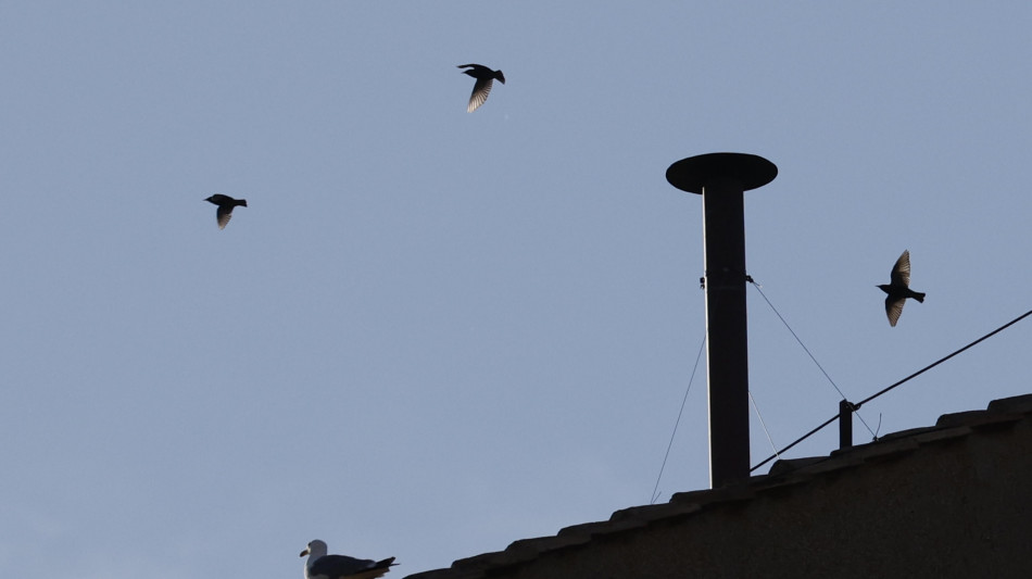 Già 30mila a San Pietro per la fumata, flusso in aumento