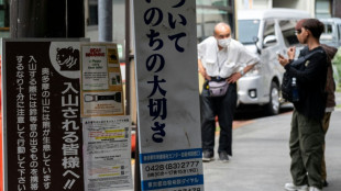 Jap&oacute;n investiga un posible nuevo ataque mortal de oso