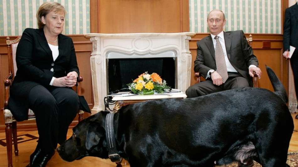 Nach 17 Jahren: Putin entschuldigt sich bei Merkel f&uuml;r Hund bei Treffen