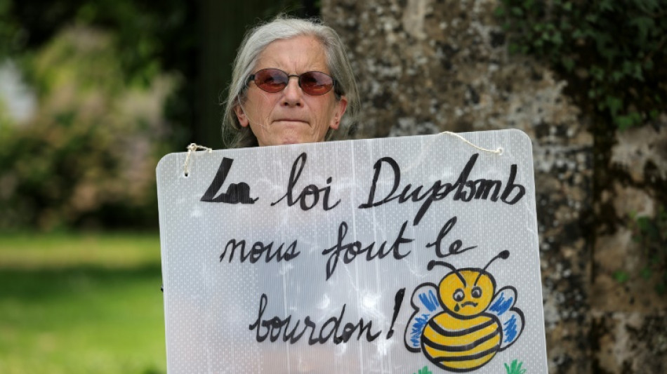 France to rule on controversial bee-killing pesticide bill