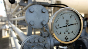 Il prezzo del gas su massimi da marzo a 60 euro con escalation Usa-Iran