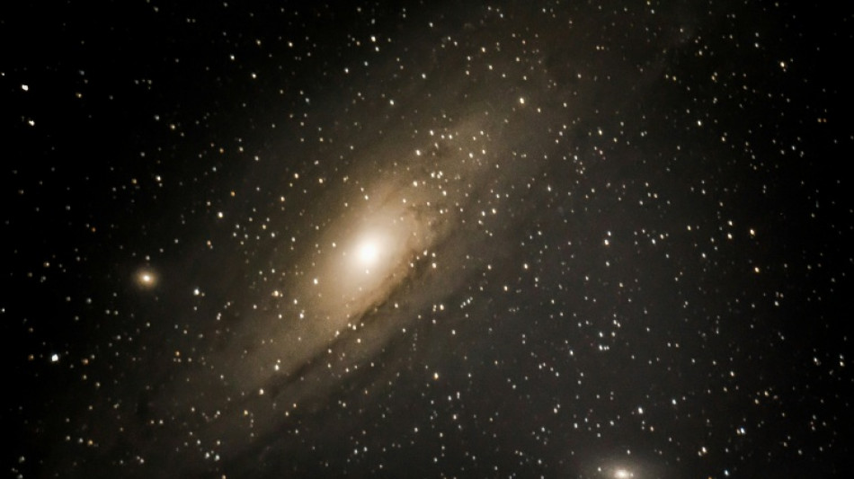 Chance glimpse of star collapse offers new insight into black hole formation