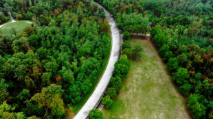 F1: Autodromo Nazionale Monza conferma Tre Stelle Fia per la sostenibilit&agrave; ambientale
