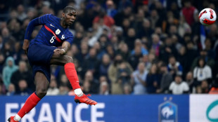 Injured France midfielder Pogba out of World Cup