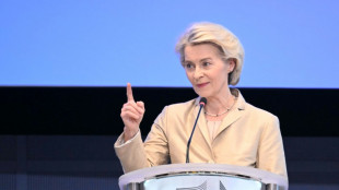 La UE quiere prohibir la importaci&oacute;n de gas licuado ruso un a&ntilde;o antes de lo previsto