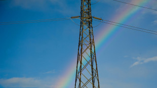 Scende il prezzo dell'elettricit&agrave;, indice Gme a 134,85 euro a Mwh
