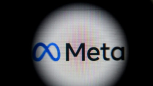Meta pr&eacute;voit un plan de licenciement massif (presse)
