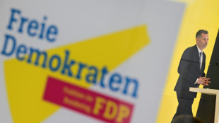 FDP-Fraktion will Bundestag &uuml;ber Taurus f&uuml;r Ukraine abstimmen lassen