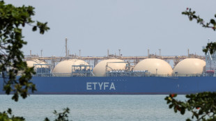Il gas balza sopra i 46 euro dopo l'attacco a una petroliera a Hormuz