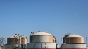 Il gas chiude in rialzo ma sotto i 50 euro sulla piazza di Amsterdam