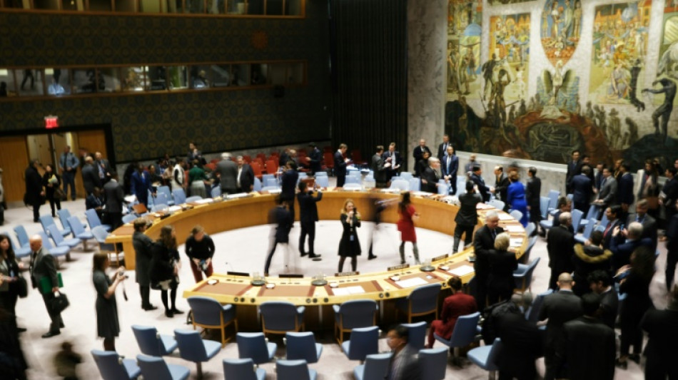 Le Conseil de s&eacute;curit&eacute; de l'ONU dans l'expectative sur l'aide humanitaire transfrontali&egrave;re &agrave; la Syrie