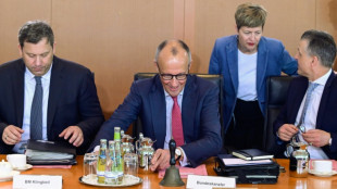 Bundeskabinett billigt Reform von Krankenversicherung - Projekt weiterhin umstritten