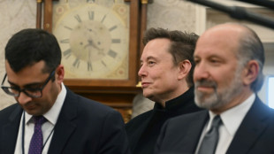 Musk no dirige el departamento de eficiencia gubernamental, aclara la Casa Blanca