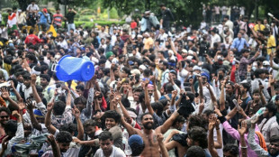 Las "cucarachas" ponen fin a las protestas en India tras dimisi&oacute;n de ministro