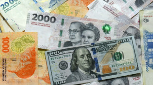 Argentina's peso sinks after currency controls eased