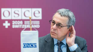 OSZE stellt nach Forderungen aus Russland und USA Reformen in Aussicht