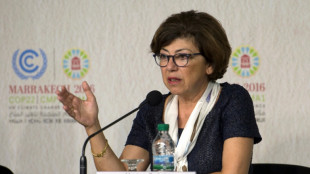 Monique Barbut, une ancienne présidente de WWF à la Transition écologique