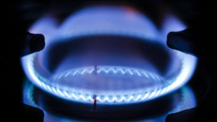 Il gas apre in calo sul mercato di Amsterdam (-1,7%)