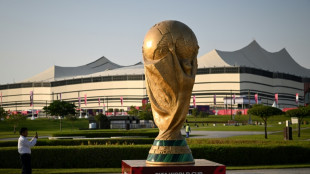 World Cup countdown enters final week as focus sharpens on Qatar