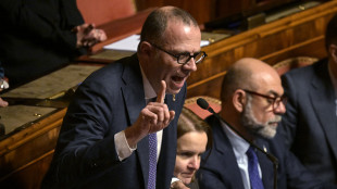 Manovra: Romeo, FdI parla di scontro nella Lega, non siamo capro espiatorio