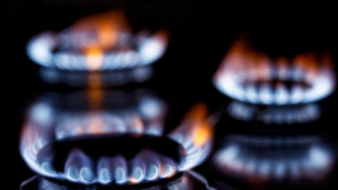 Il prezzo del gas chiude in rialzo a 43,65 euro