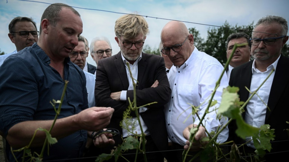 Gr&ecirc;le : des mesures annonc&eacute;es pour soulager les exploitations agricoles touch&eacute;es