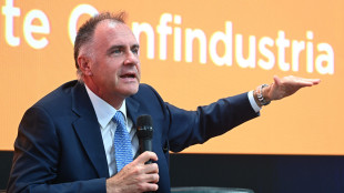 Orsini: 'Insoddisfacente la proposta europea di revisione dell'Ets'