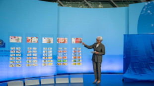 Bce svela lista finale nuove banconote con Leonardo da Vinci, Beethoven e Callas