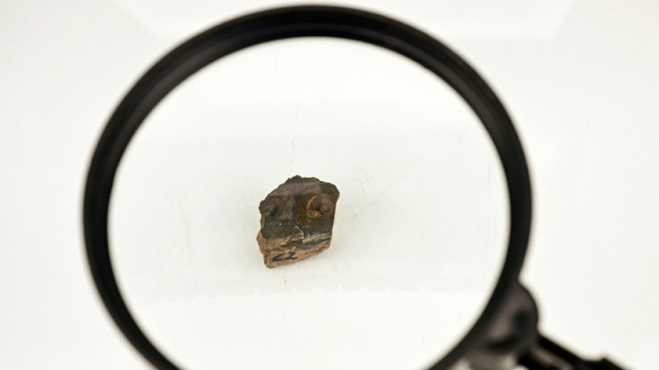 Exhiben en Perú el fósil de una especie singular delfín de hace 12 millones de años