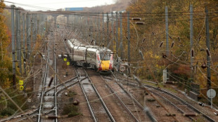 Acusan de intento de asesinato al sospechoso del ataque en un tren en Inglaterra