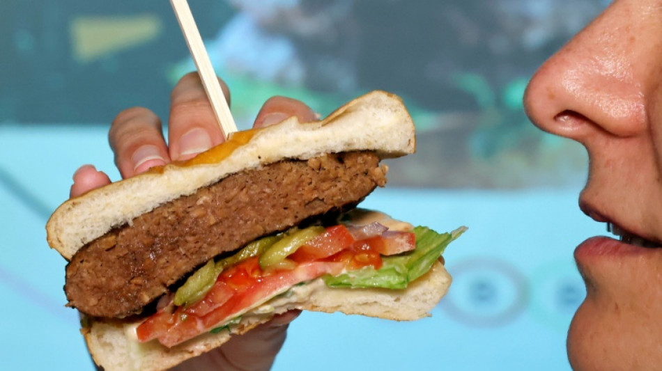 EU-Parlament stimmt f&uuml;r Namensverbot f&uuml;r Veggie-Burger