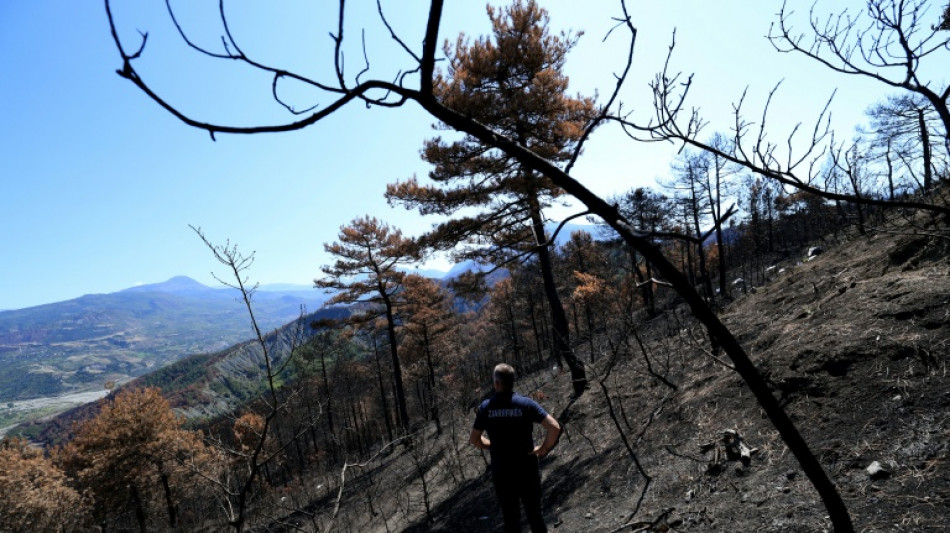 Après des incendies monstres, l'Albanie doit repenser l'avenir de ses forêts