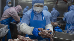Cina, misure provvisorie su import carne di maiale dall'Ue