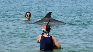 Captures de dauphins: un nouveau mois sans p&ecirc;che d&eacute;but 2027 dans le golfe de Gascogne