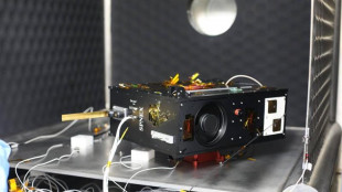 Satellite egiziano messo in orbita dalla Cina