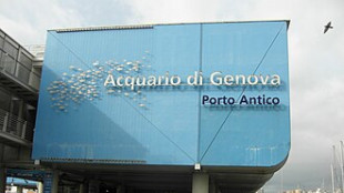 Nextalia conquista l'Acquario di Genova, la famiglia Costa resta al 30%