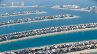 Testimoni, esplosioni sull'isola artificiale Palm a Dubai
