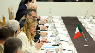 Meloni, l'Artico sia una priorit&agrave; dell'Ue e della Nato