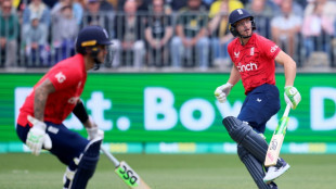 Hales, Buttler help England to 208 in first T20