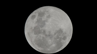 Sulla Luna si possono coltivare i ceci, ma servono compost e funghi