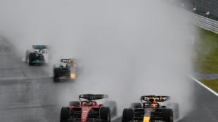 Verstappen title bid in Japan delayed by rain and red flag