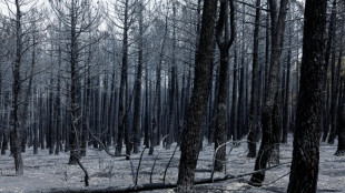 La angustia y el dolor ante el voraz incendio a 100 kil&oacute;metros de Madrid