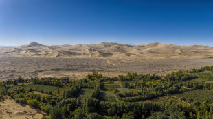 In Tibet un'insospettabile pianta da fiori in realt&agrave; &egrave; carnivora