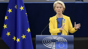 Gewinnabsch&ouml;pfung bei Stromerzeugern in der EU soll 140 Milliarden Euro bringen