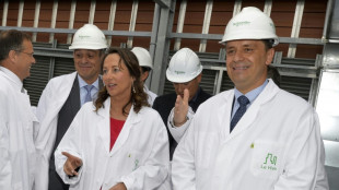 L'&Eacute;lys&eacute;e veut installer Luc R&eacute;mont &agrave; la t&ecirc;te d'EDF pour relancer le nucl&eacute;aire